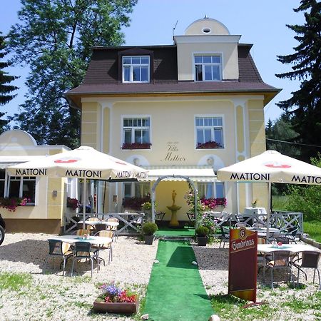 Villa Meteor Марианске-Лазне Экстерьер фото